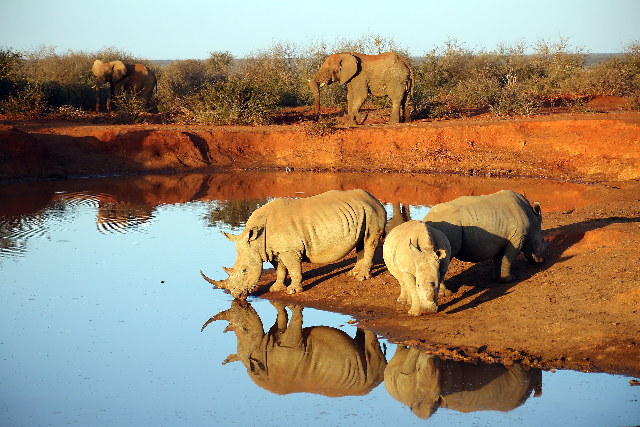 the-madikwe-game-reserve-expats-travel-together