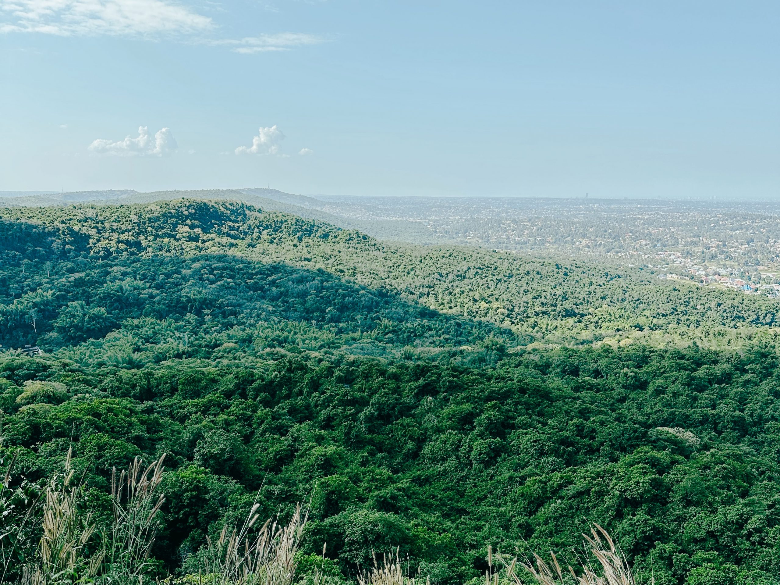 Pugu Hills Nature Reserve Expats Travel Together!