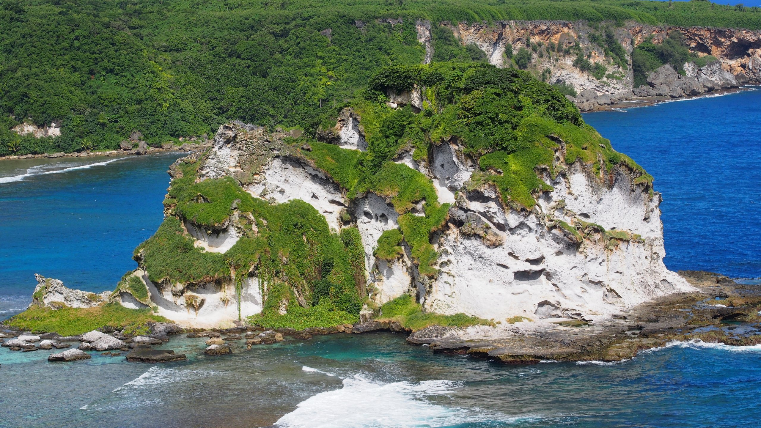 Bird Island - Expats Travel Together!