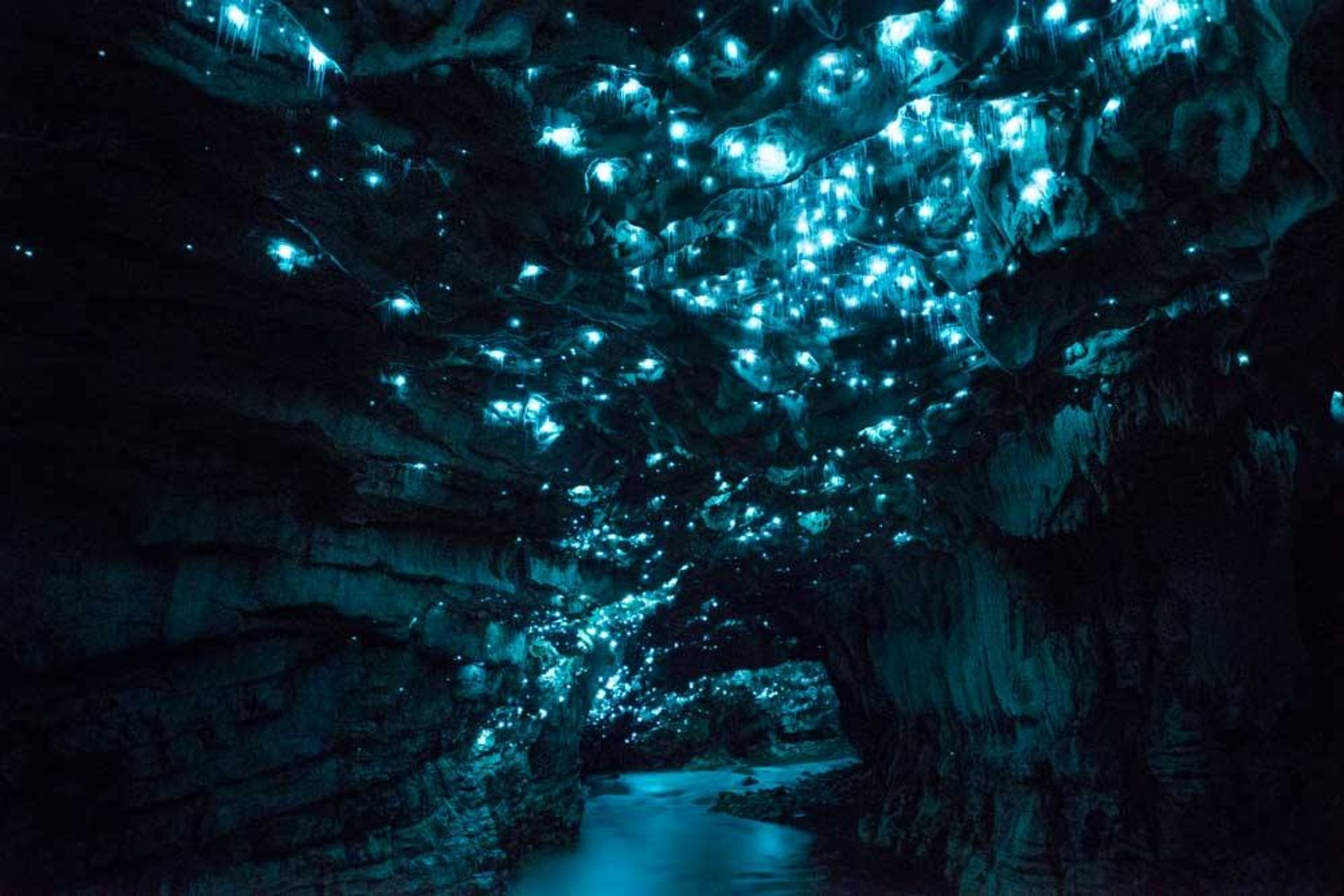 Waitomo Glowworm Caves - Expats Travel Together!